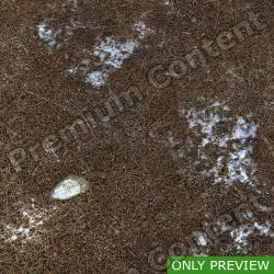 PBR Substance Material of Ground Forest Snowy